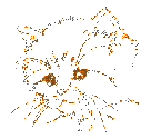 B007