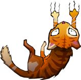 scratch