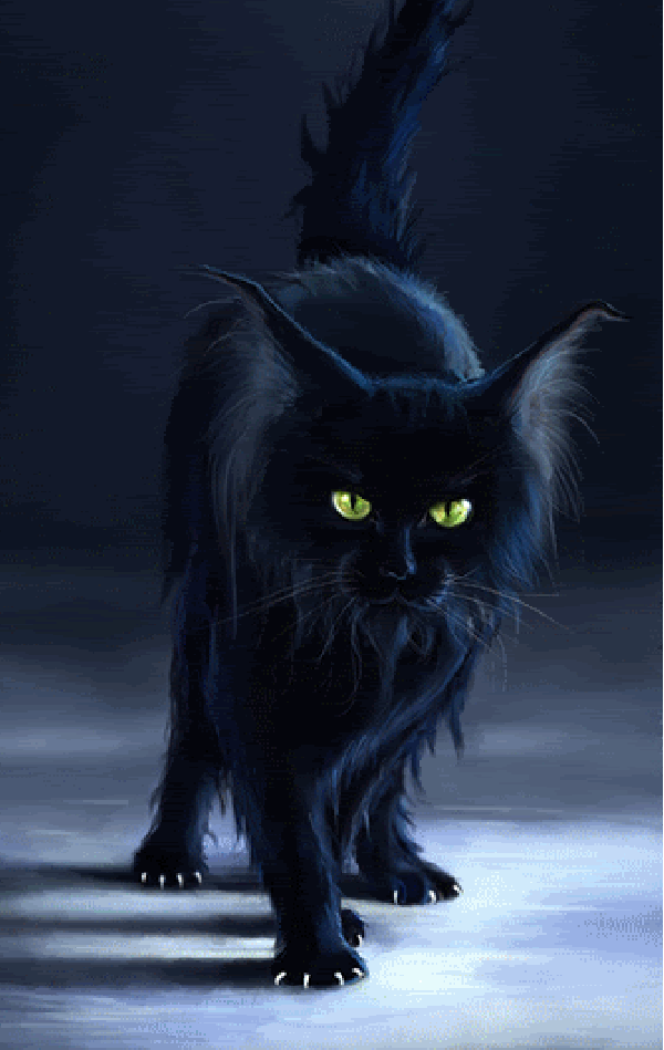 dark