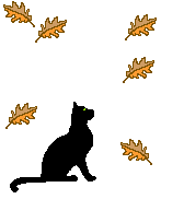 fall