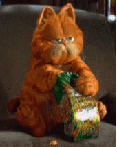garfield