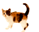 minet