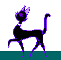 misscat