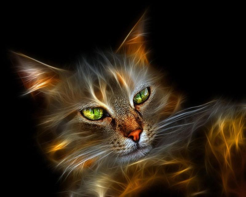 neon