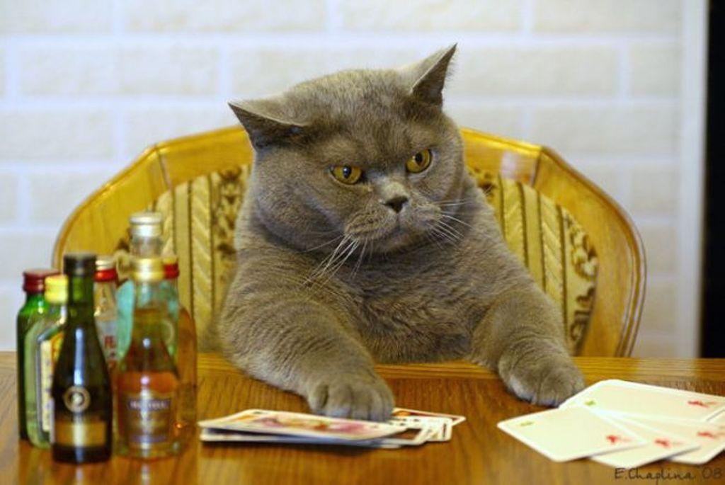 poker