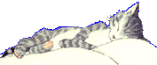 zzz